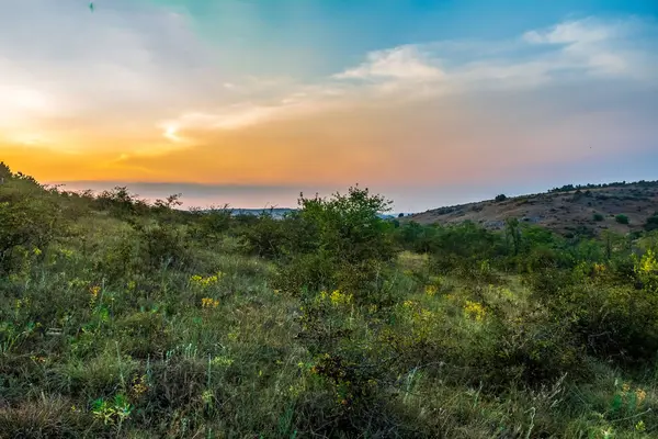 Ormanda güzel bir gün batımı