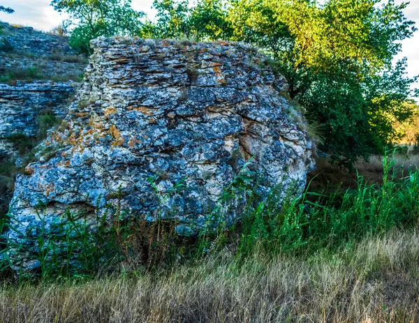 Ormandaki eski taş duvar