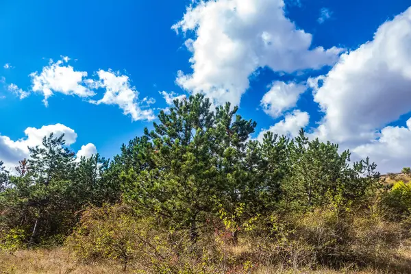 Ağaçlı sonbahar manzarası, bulutlu mavi gökyüzü