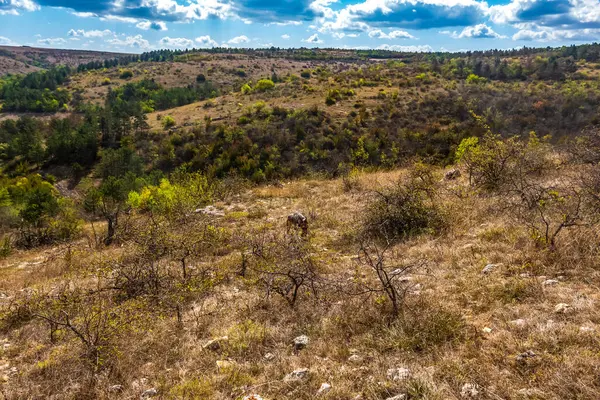 Dağlardaki dağ vadisinin güzel manzarası