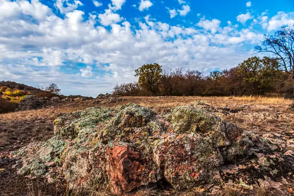 Mavi gökyüzünün arka planında bir ağacı olan güzel bir manzara.