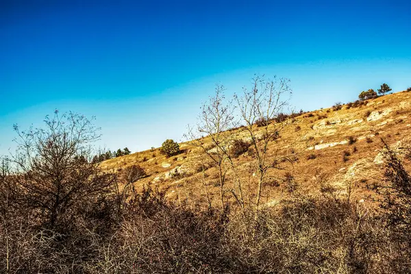 Ağaçlar ve dağlarla dolu sonbahar manzarası