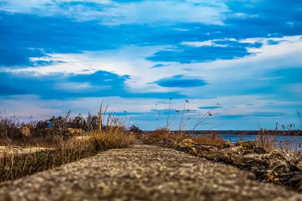 Sabah bir gölün güzel manzarası