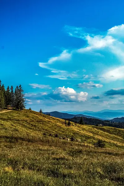 şaşırtıcı doğa arka planı, bulutlu gökyüzü ve bulutlar,