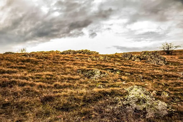 Sarı çimenler ve bulutlarla dolu sonbahar manzarası