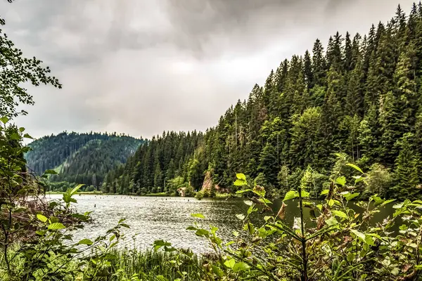 Gölde bir dağ orman