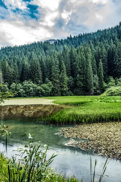 Dağları ve ormanı olan güzel bir manzara.