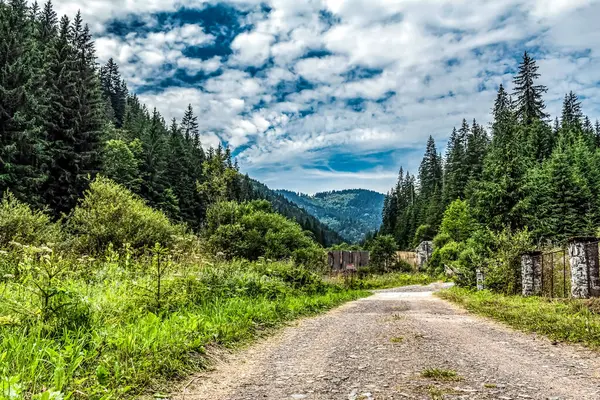 Dağlarda dağ yolu olan güzel bir manzara.