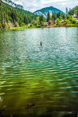 Dağlardaki güzel dağ gölü