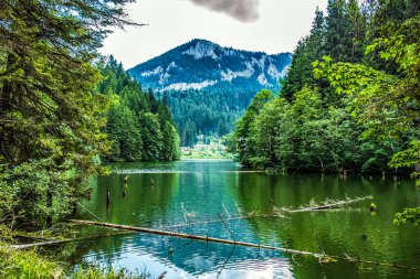 Arka planda orman ve dağ olan göl.