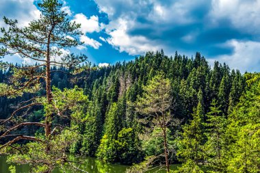 Dağların güzel manzarası