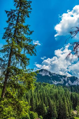 Dağların güzel manzarası