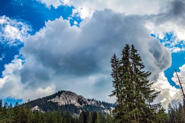 Ağaçlı ve bulutlu güzel dağ manzarası