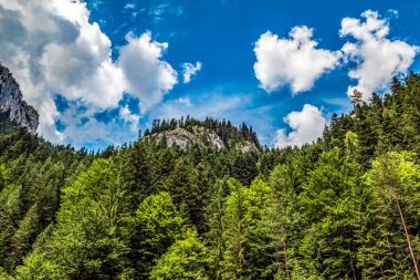 Dağların güzel manzarası