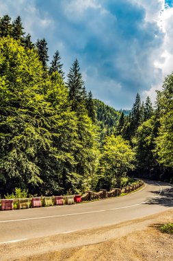 Yeşil ormanı ve dağları olan güzel dağ manzarası