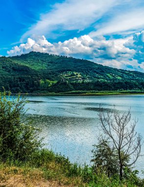Nehir ve ormanlı güzel bir manzara.