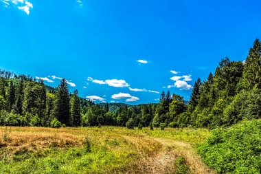 Dağların güzel manzarası
