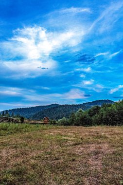 Ağaçlarla ve mavi gökyüzüyle güzel bir manzara.