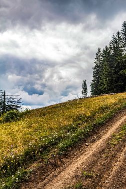 Karpat dağlarındaki güzel dağ manzarası, Ukrayna
