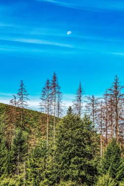 Dağların güzel manzarası