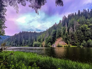 Dağdaki göl ve orman