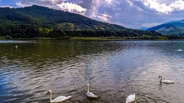 Göl ve dağlarla dolu güzel bir manzara.