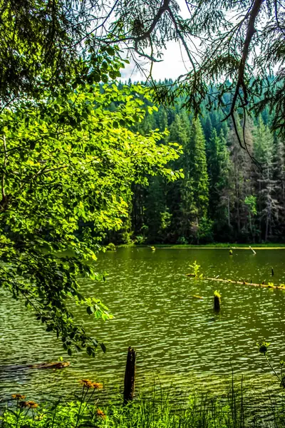 Göl manzarası, doğa arkaplanı.