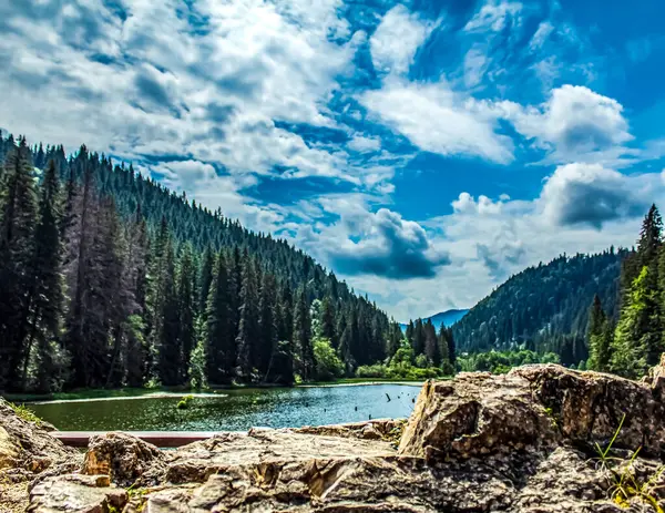 Tatra Dağları ormanında bir dağ gölü