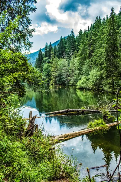 Ormandaki gölde Dağlarda