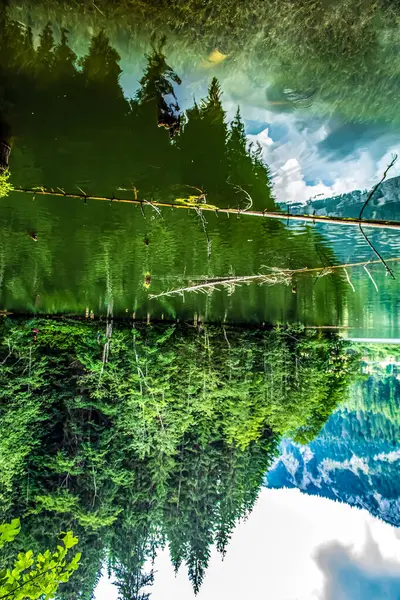 Dağlarda göl ve orman