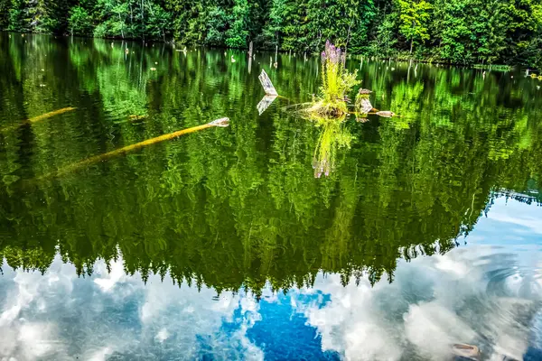 Ağaçların ve bulutların yansımalarıyla göldeki yansıma.