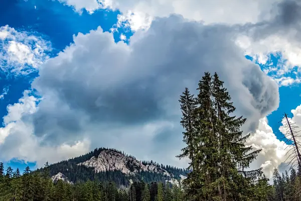 Ağaçlı ve bulutlu güzel dağ manzarası