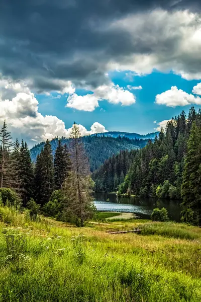Karpat Dağları 'ndaki güzel dağ nehri
