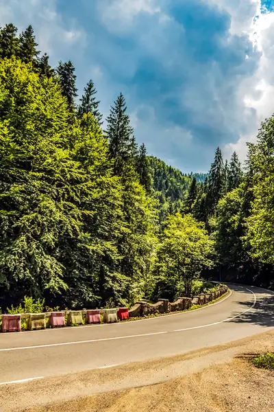 Yeşil ormanı ve dağları olan güzel dağ manzarası