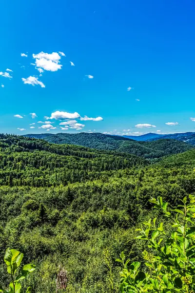 Mavi gökyüzü ve beyaz bulutlarla yeşil dağ manzarası