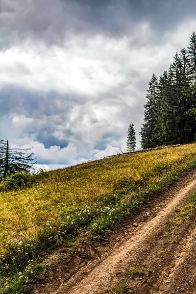 Karpat dağlarındaki güzel dağ manzarası, Ukrayna