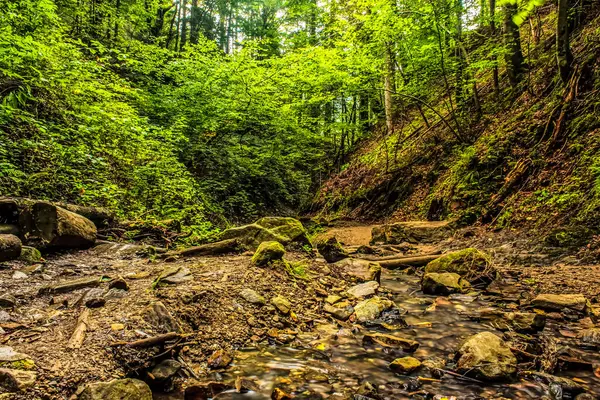 Parktaki nehrin güzel manzarası