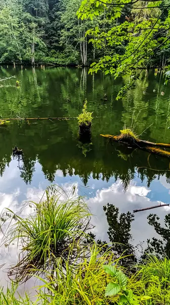 Güzel göl manzarası