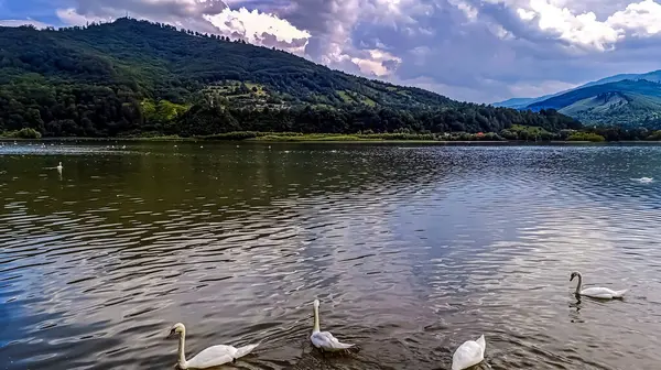 Göl ve dağlarla dolu güzel bir manzara.