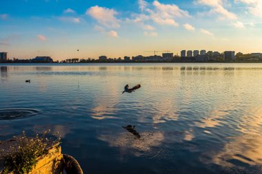 Güzel gün batımı manzarası