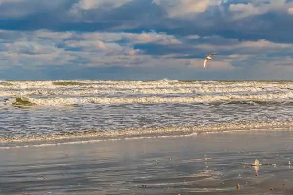 Kumsalda deniz dalgaları