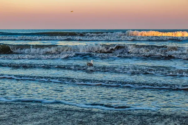 Denizin üzerinde güzel bir gün batımı.