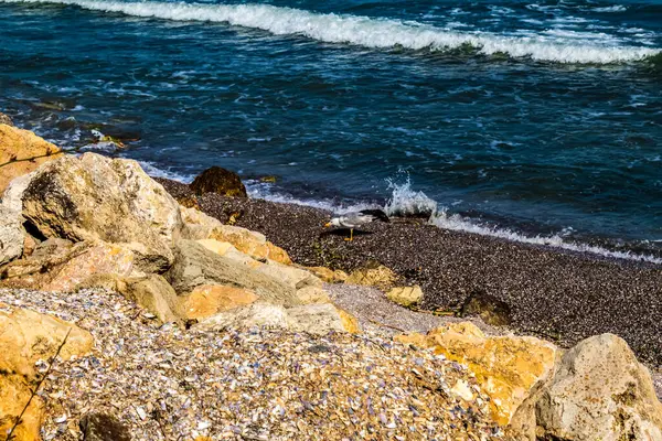 Kıbrıs kayalık sahil