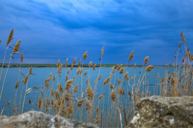 Dağlarda nehri olan güzel bir manzara.