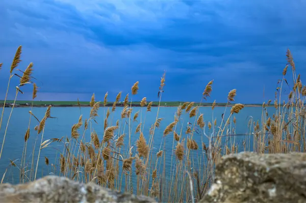 Dağlarda nehri olan güzel bir manzara.