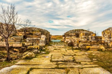 Pergamon 'un kalıntıları, hindi..