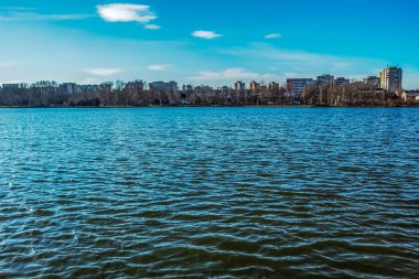 Arka planda bir ağaç ve gölü olan güzel bir manzara.