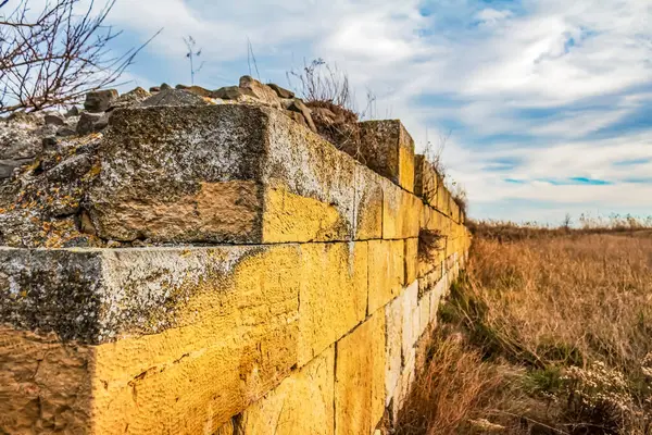 Yosun ve kuru otlarla kaplı eski tuğla ev duvarı