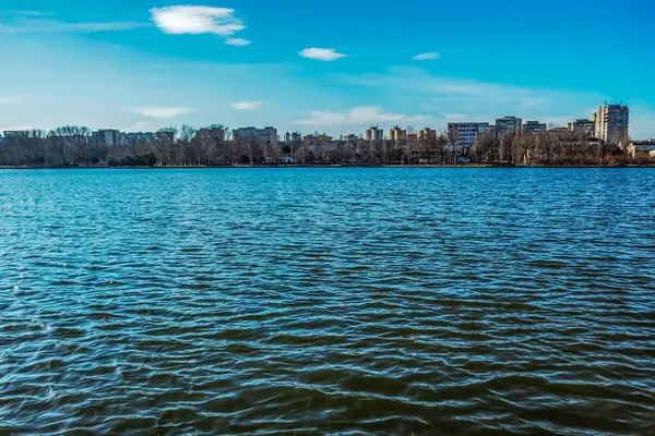 Arka planda bir ağaç ve gölü olan güzel bir manzara.