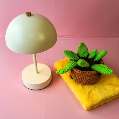 Ev dekoru. Ev dekoru. İç dekorasyon. Saksıdaki saksı. modern ev içi.